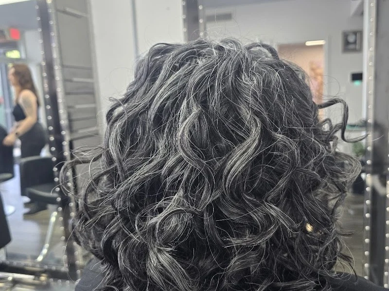 Salon San Carlos
