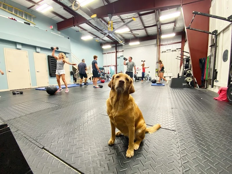 Momentum Fitness