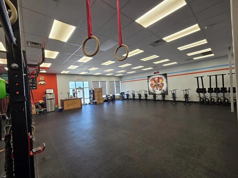 Forge Fitness