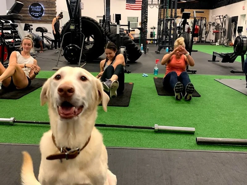 Modern Fitness Tallahassee