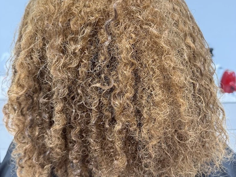 Dominican Hair Secrets Salon