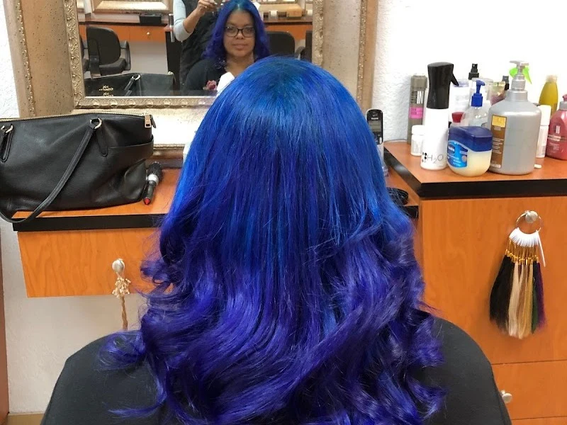 Dominican Stylze Hair Salon