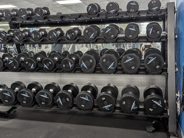 The Shark Gym
