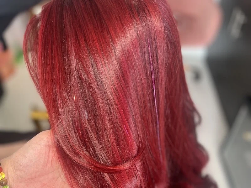Themasterhaircolorist Private Salon