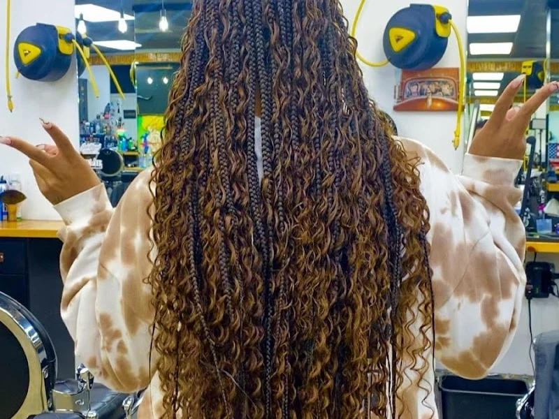 Braids by Meliii