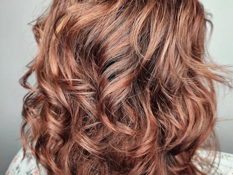 Salon Elysian