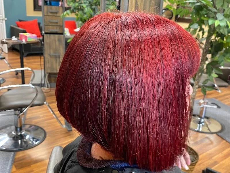 Creative Hair Studio 2