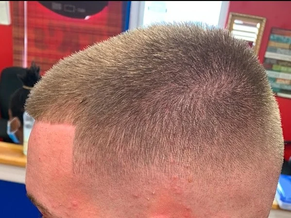 T K's Custom Cuts inc