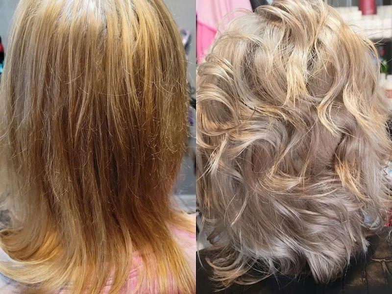 Tracy Hahn Hairstylist