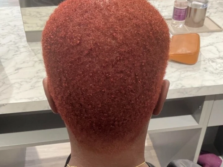 Madison Reed Hair Color Bar Davie