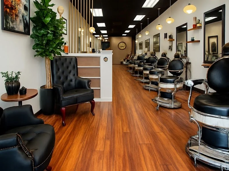 Visual Art Barber