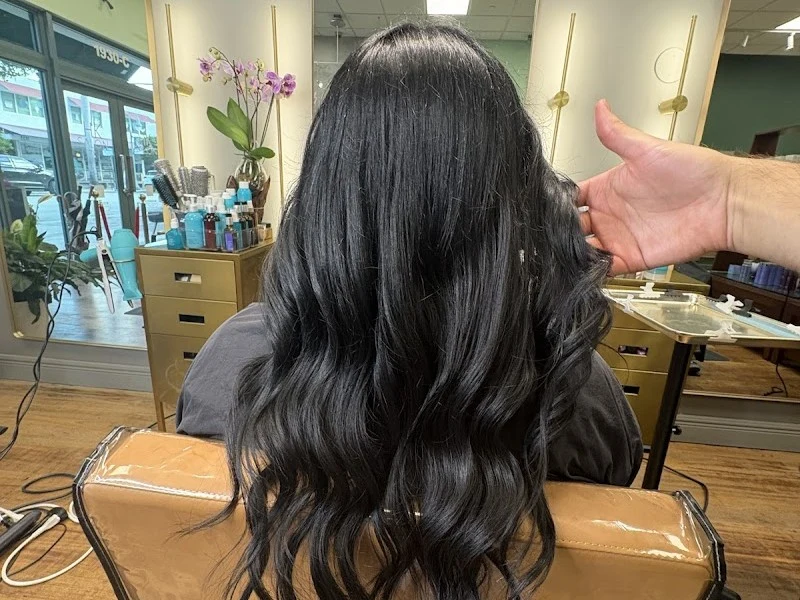 HK Salon Hollywood