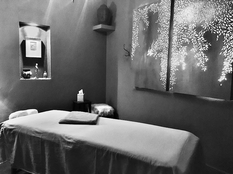 Michael J Langlois Massage Therapy