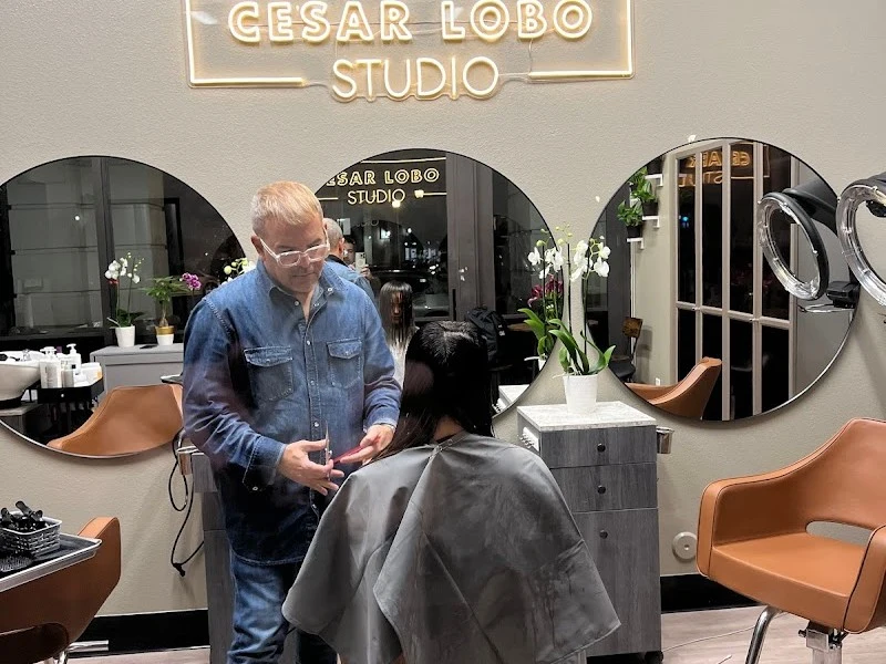 Cesar Lobo Studio