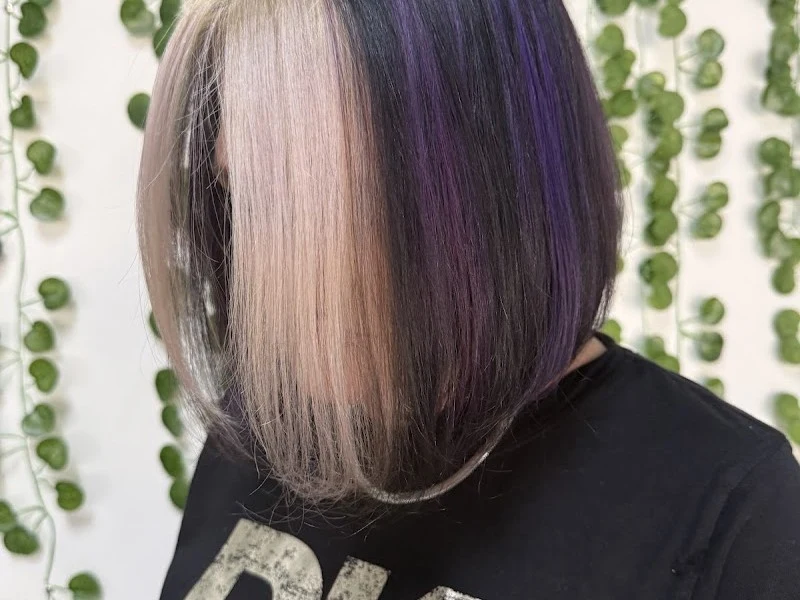 Paris Hair The New Look