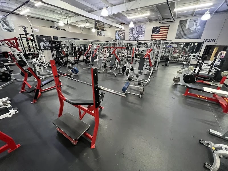 Kissimmee Muscle Gym
