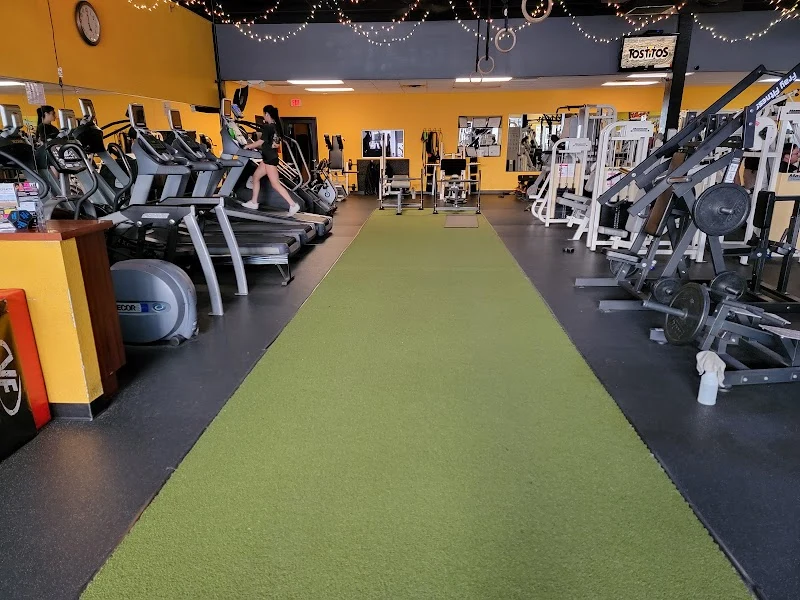 Contour Fitness
