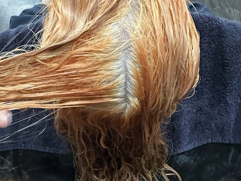 Project Style Salon