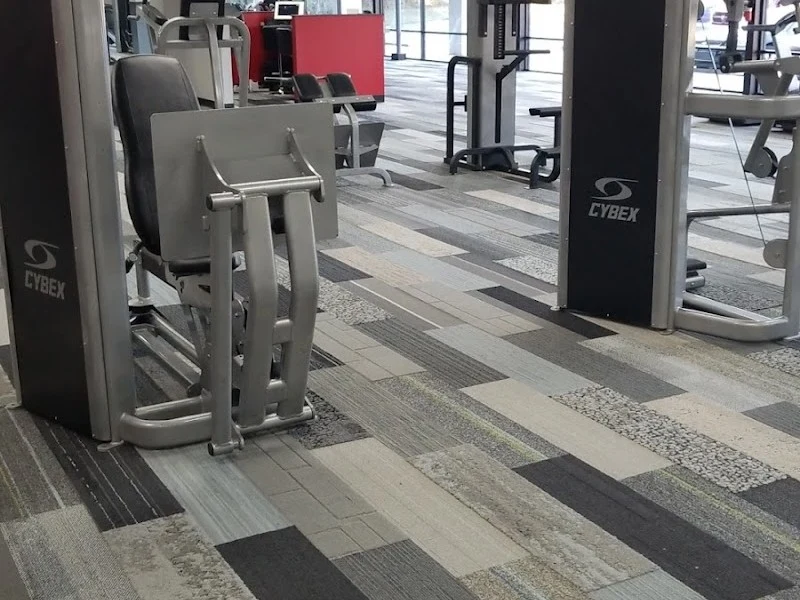 Freedom Fitness