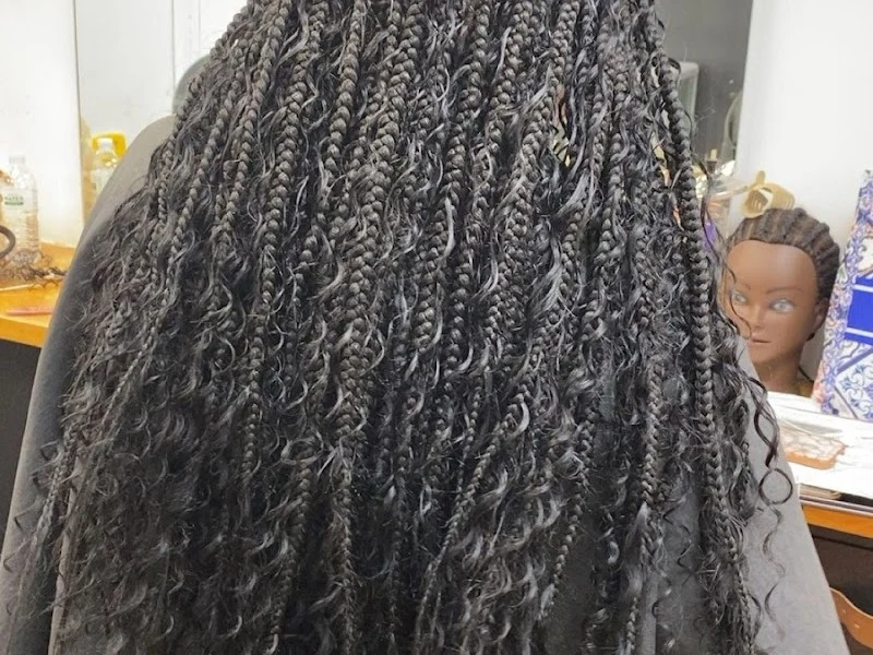 Braids by Meliii