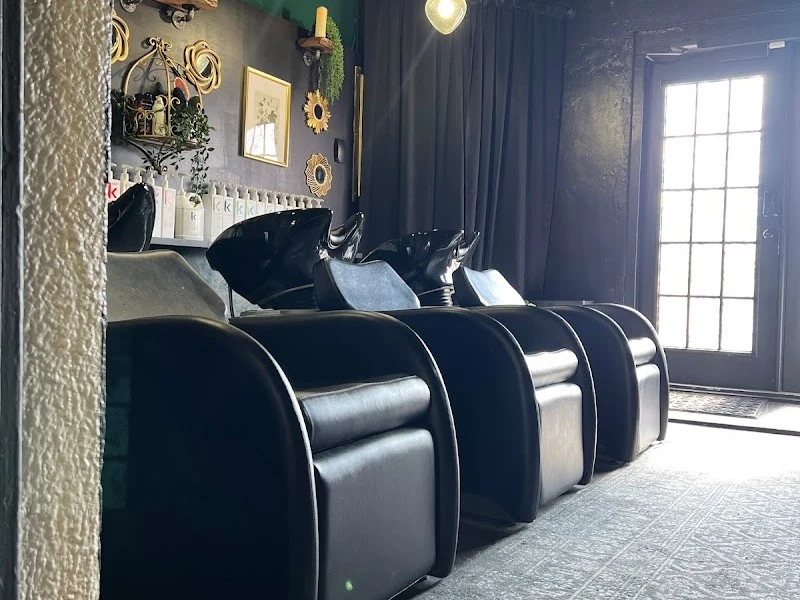 The Study Salon