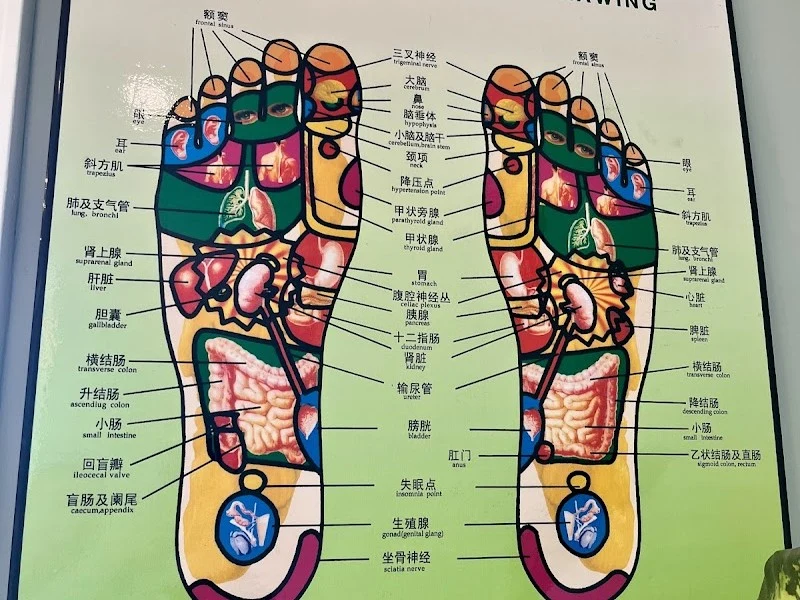 Paradise Foot Spa - Foot & Body Massages in St. Petersburg, FL