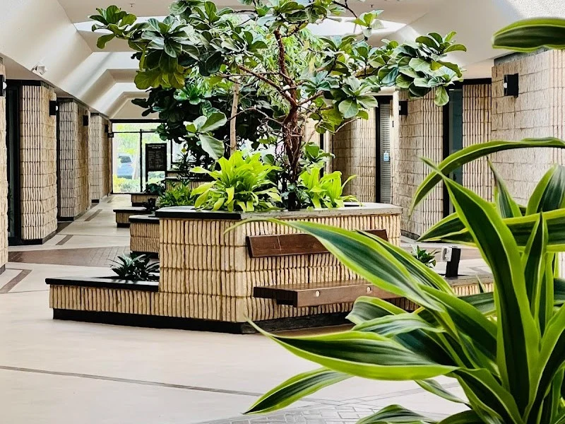 Baden Spa