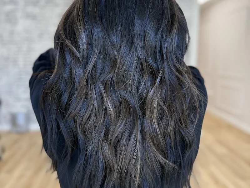 The Hair Edition