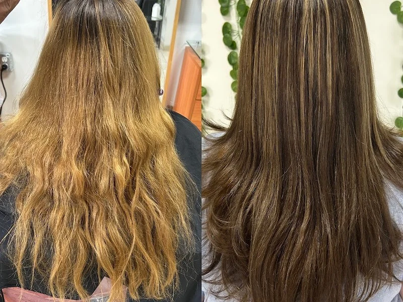 Paris Hair The New Look