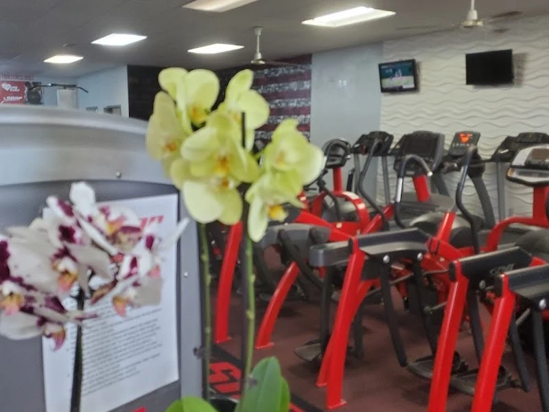 Snap Fitness - Fort Walton Beach