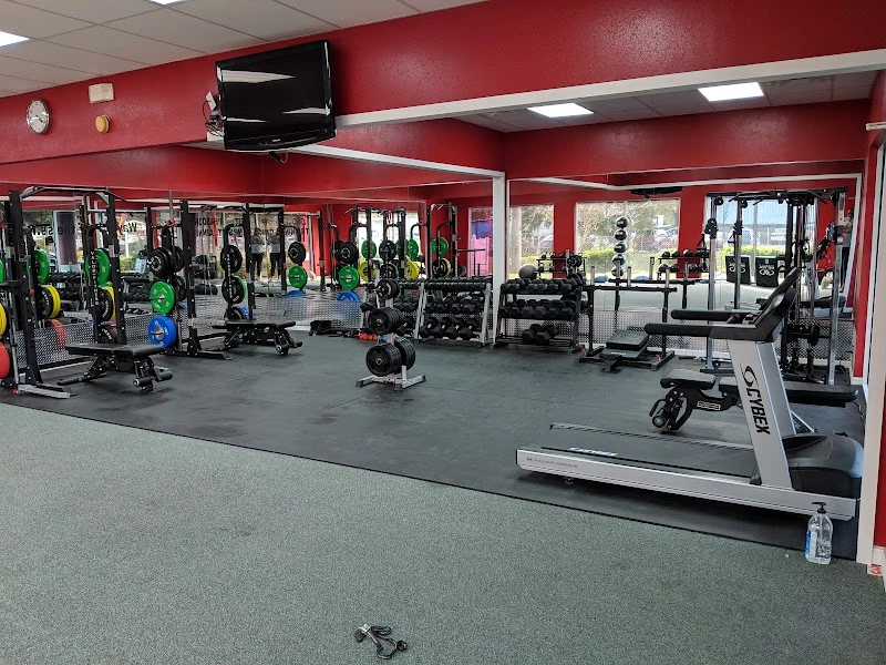Way Of Life Fitness