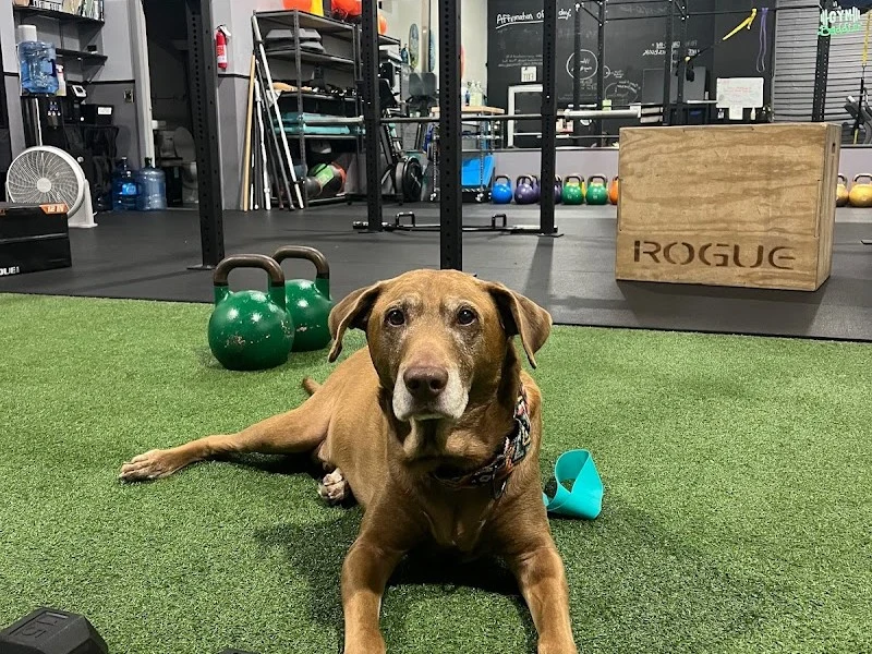 The Gym Lab Personal Training