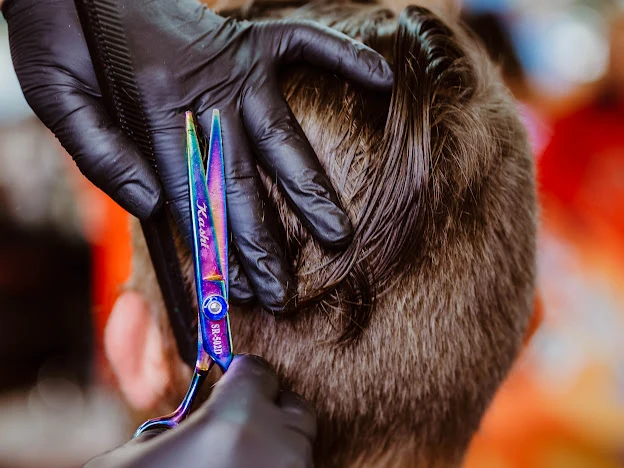 Up the block barber shop 2