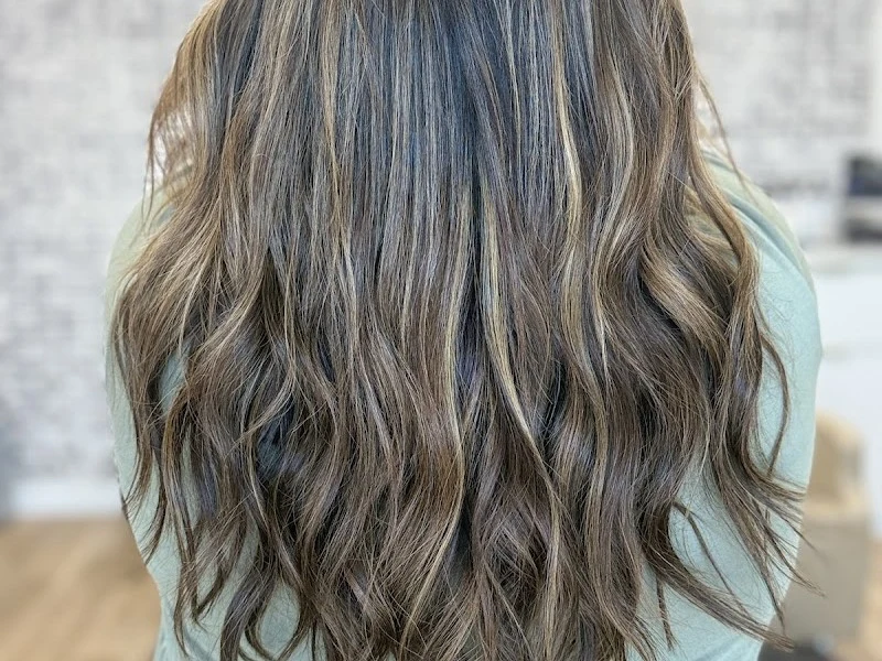 The Hair Edition