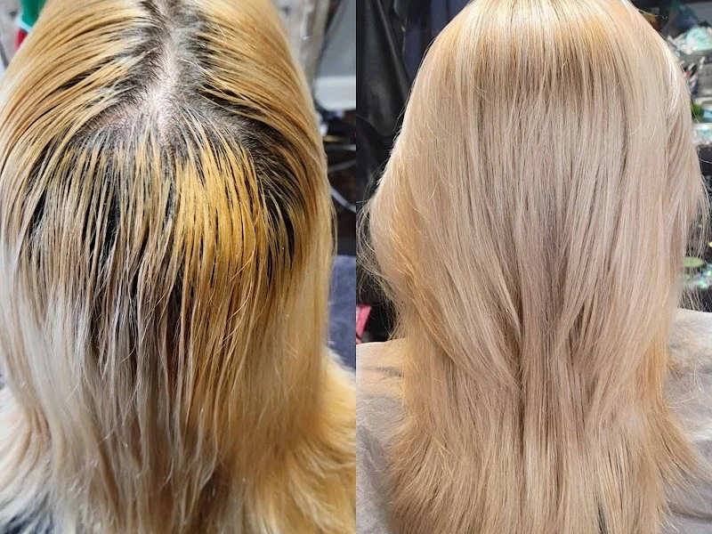 Tracy Hahn Hairstylist