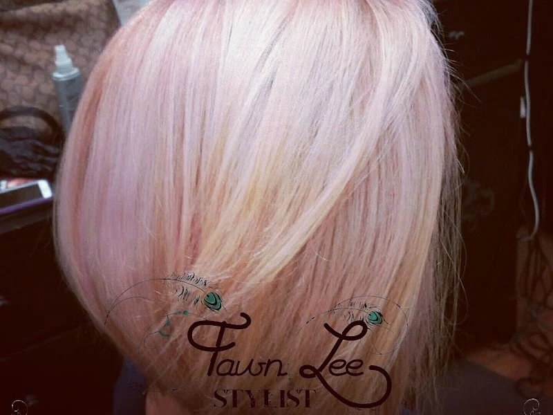 Fawn Lee ~ Stylist