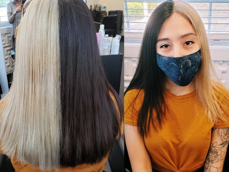 Thecolorbarbee
