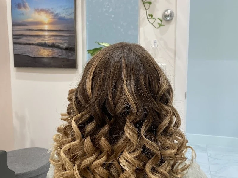The Blow Dry Spa