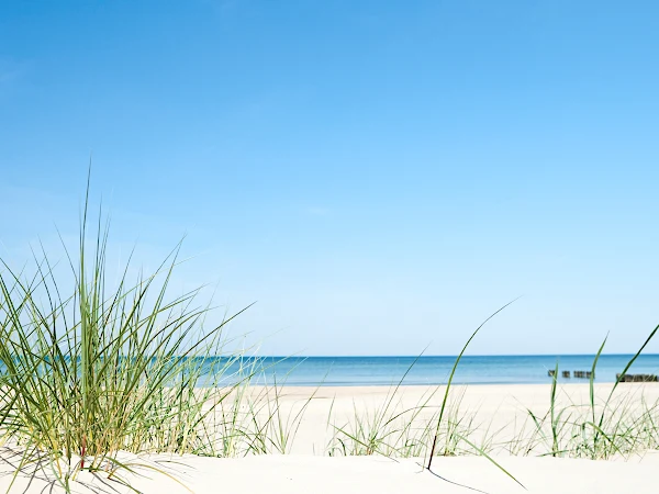 Beach Therapeutic Massage-Spa