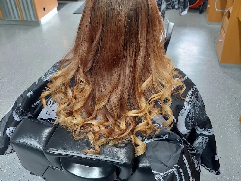 Precision Barber & Salon Cuts