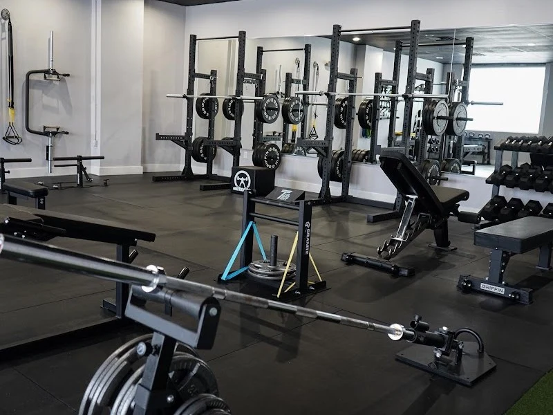 Synergee Fitness