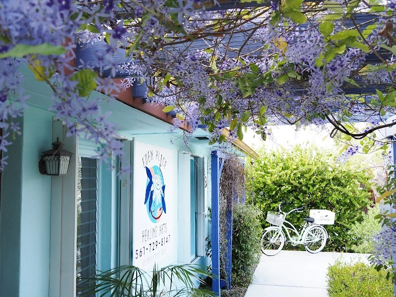 Eden Place Healing Arts