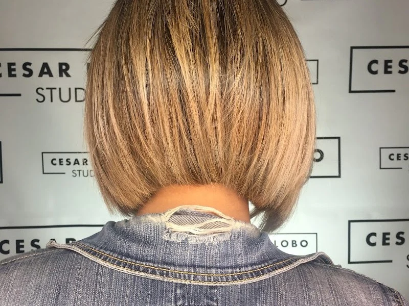 Cesar Lobo Studio