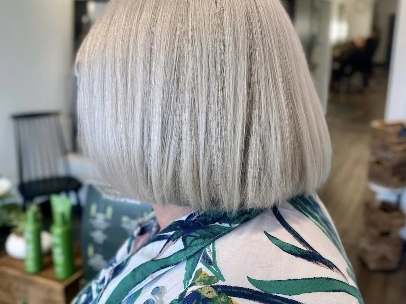 sage salon | AVEDA hair salon in Land O' Lakes