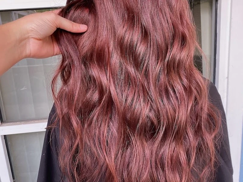 Studio 37 Salon