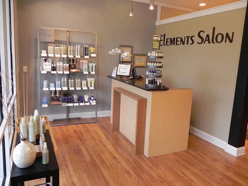 Elements Salon