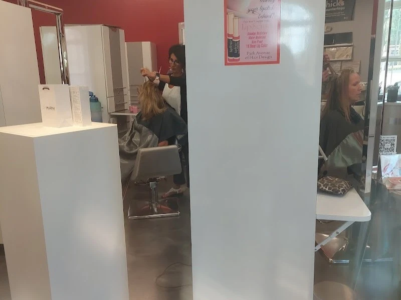 Park Avenue of Hair Design